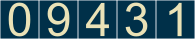 web counter code