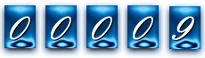 website hit counter