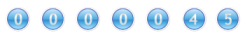 hits counter