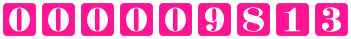 website hit counter