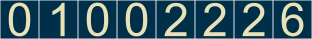 website hit counter