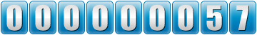 website hit counter