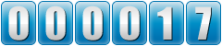 website counter code