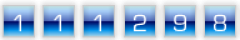 website counter