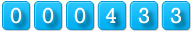 website hits counter