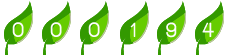 page hit counter