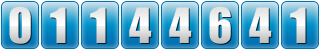 website hit counter