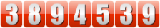 website counter