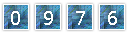 web counter