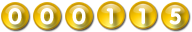 website counter