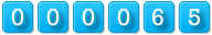 hit counter html