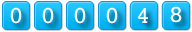 website hit counter