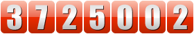 website hit counter