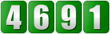 web page counter