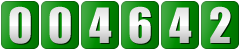 website counter code