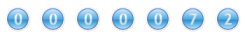 website hit counter