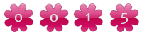 website counters