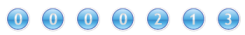 website hit counter