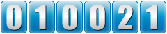 website hit counter