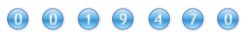 website counter code