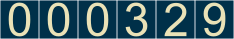 website hit counter