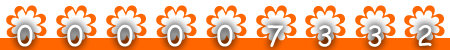 web counter
