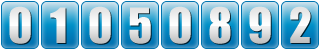 website counter