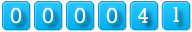 website counter code