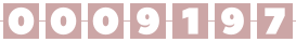 website hit counter