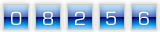 website hit counter