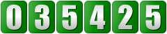 web counter